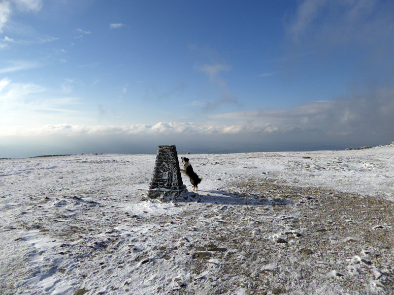 Ingleborough Summit